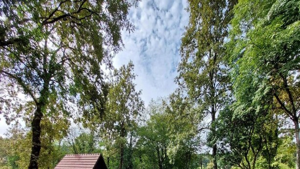 Unclassified image, 1 of 26, button - Holiday Home Mreznica (Duga Resa)