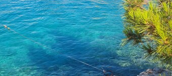 Discover Your Dream Getaway: Cozy 3-bedroom Apartment