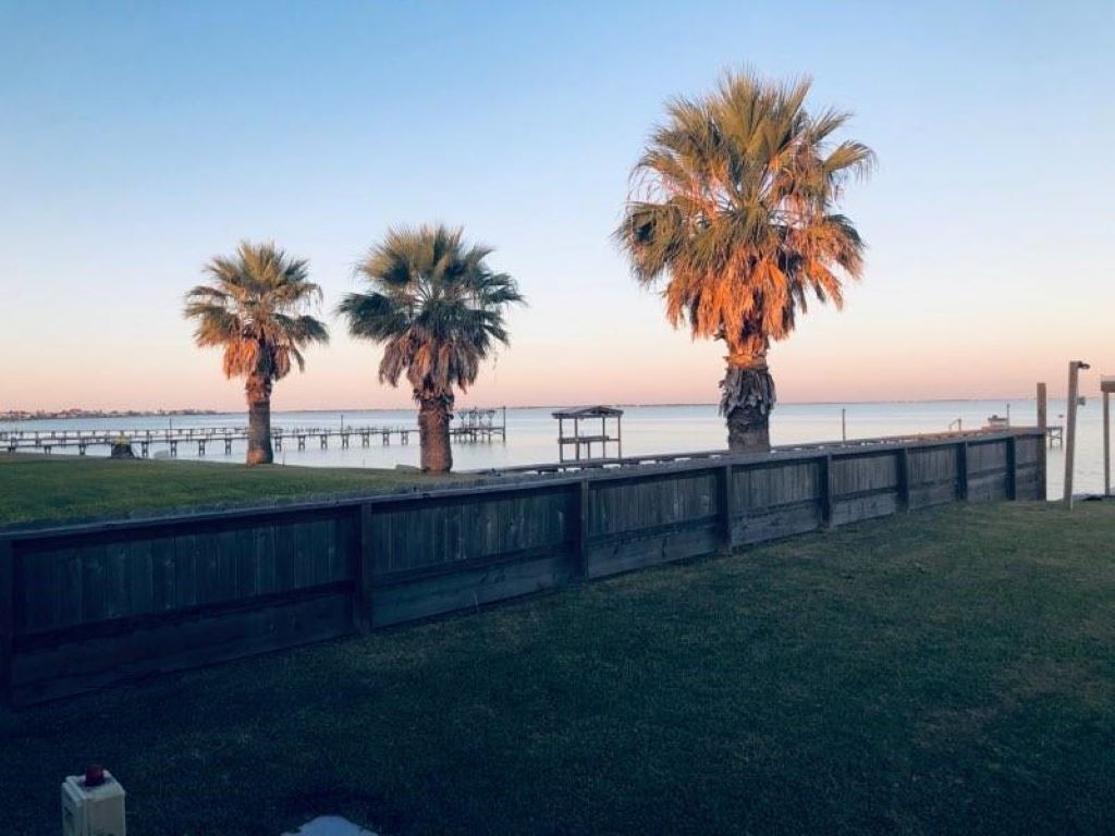 Une vue sur le front de mer, avec des palmiers et une promenade en bois.