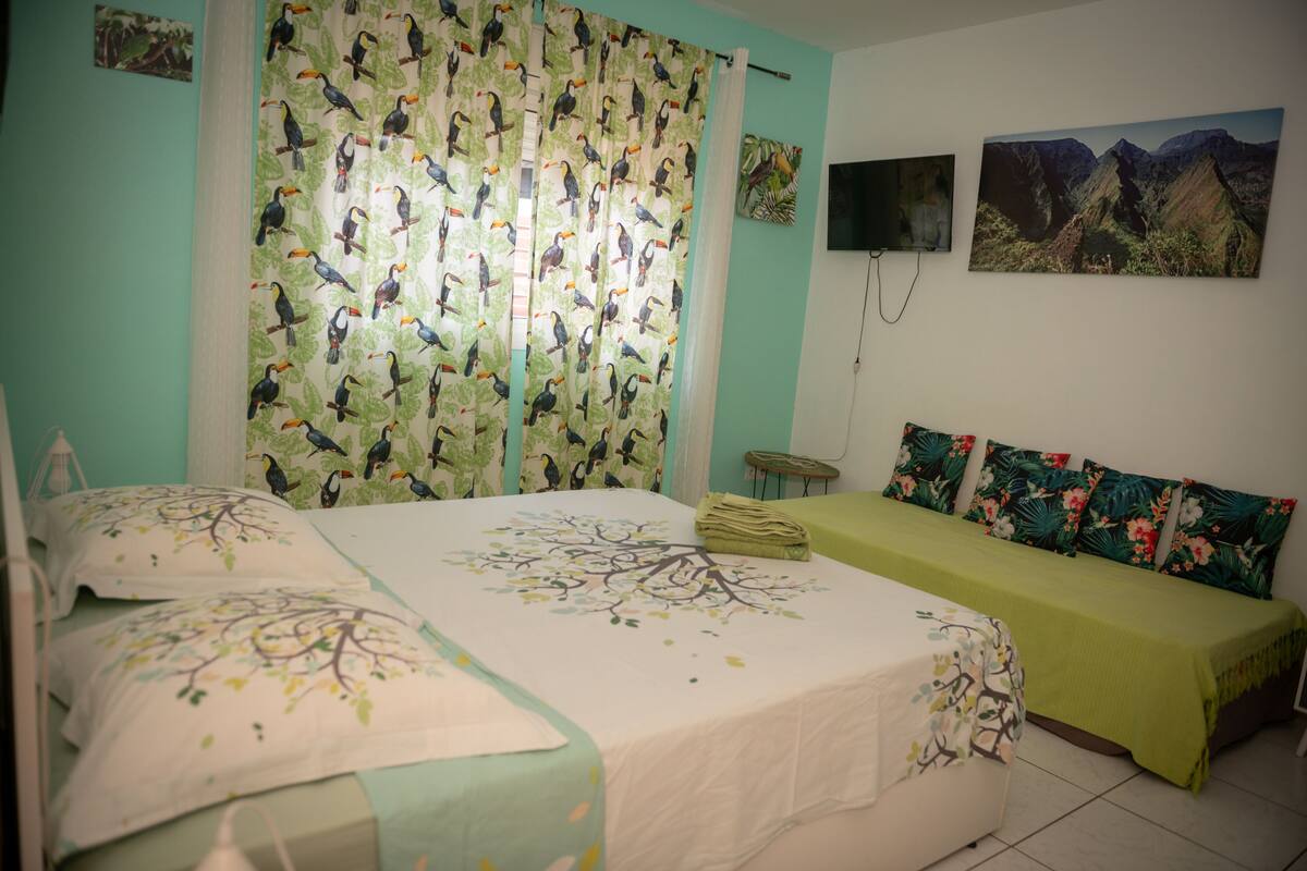 Una habitación con dos camas, una con cubrecama floral y la otra con cubrecama verde. Hay un televisor en la pared y un cuadro sobre la cama verde.