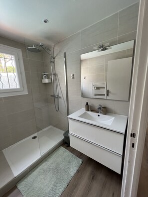 Shower, hair dryer, towels