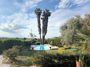 Ein Swimmingpool, umgeben von üppiger Vegetation und hohen Palmen.