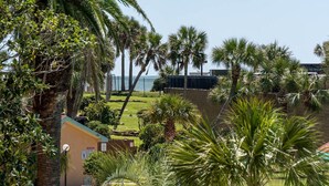 Vista de un área ajardinada con palmeras y una zona delimitada por una valla, probablemente parte de un hotel o resort.