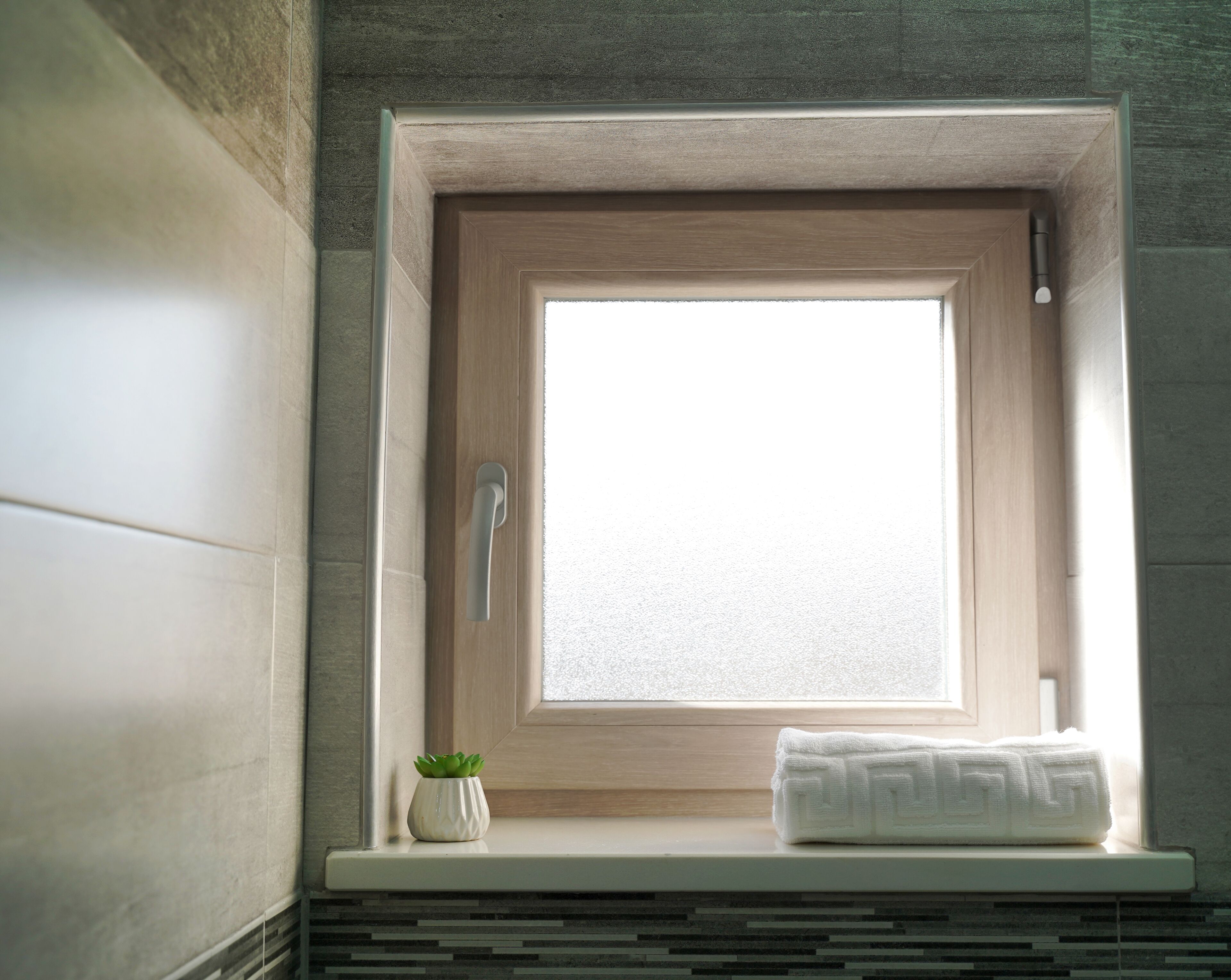 A bathroom with a window, a towel, and a small plant.