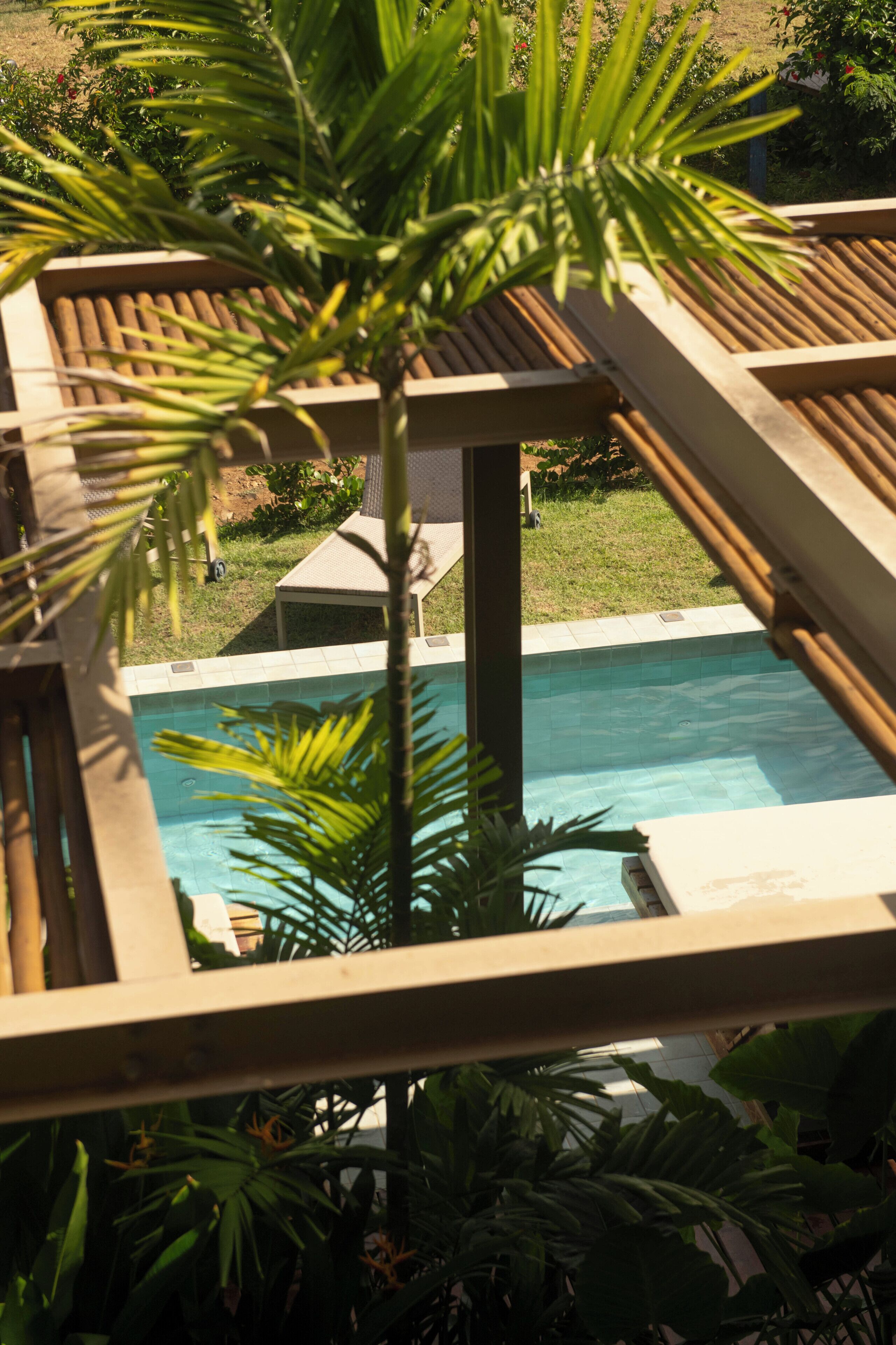 A pool area with wooden loungers and a palm tree.