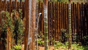 A garden with a bamboo fence, various plants, and a water feature. - POUSADA DO MIRANTE (Fernando de Noronha)