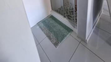 A small, enclosed shower area with a glass door, a tiled floor, and a green mat.
