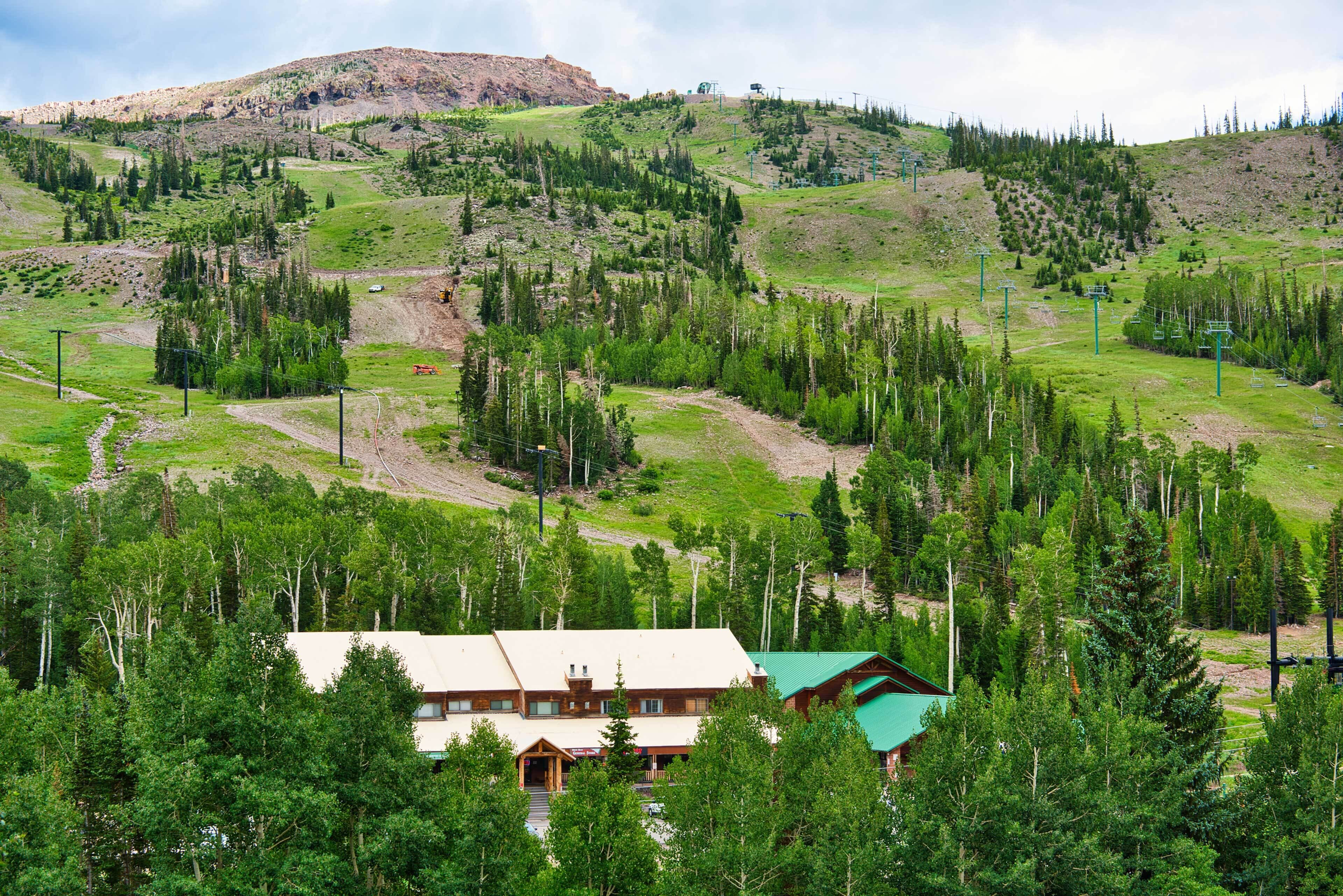 A lodge with a green roof, surrounded by dense forest and hills.