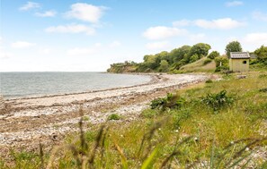 ビーチの近く、釣り