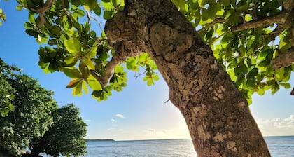 Casa Arrecife Queen Beds/Beach/Pool/Pet Friendly