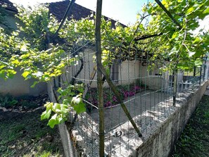 Unclassified image, 4 of 14, button