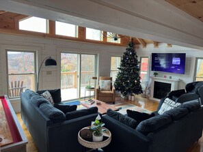 Smart TV, fireplace, video games, books