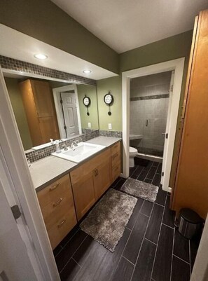 Shower, hair dryer, bidet, towels