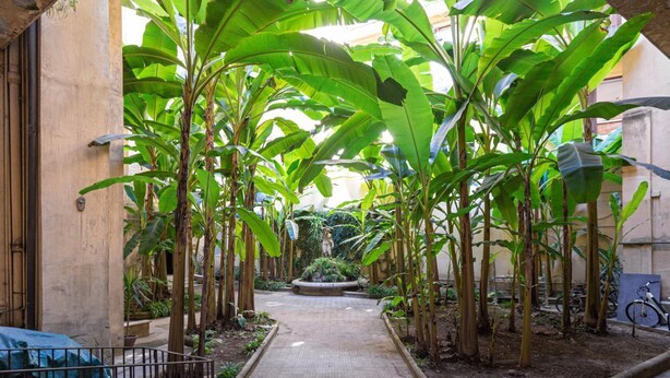 Ein schmaler Pfad, gesäumt von Bananenstauden, der zu einem Garten mit einer Statue führt.