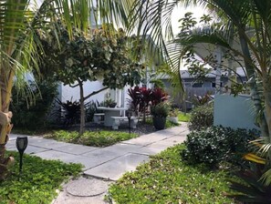 テラス / パティオ