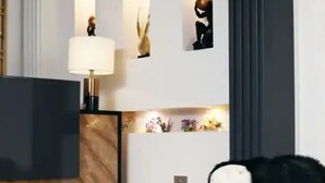 A modern living room with a black sofa, a coffee table with a unique centerpiece, and a marble-patterned rug. - Westine Hotels and Spa (Lekki)