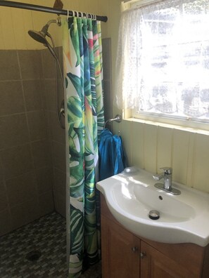 Shower, hair dryer, towels, soap - Starfish Villa, quiet Caribbean paradise with wonderful valley views (Cruz Bay)