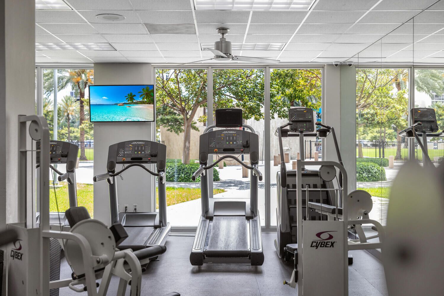 A gym with treadmills, elliptical machines, and weight equipment.
