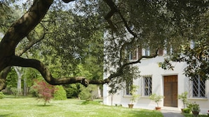 A white building with a large tree in front, a pathway leading to the entrance, and a garden with white flowers. - GuestHost - Stunning villa divided over three levels (ground, first and second), WITHOUT lift. There are internal stairs to access the upper floors.In 410 square meters of space it comfortably accommodates 12 people.Detached villa with a private garden s (Ferrara)