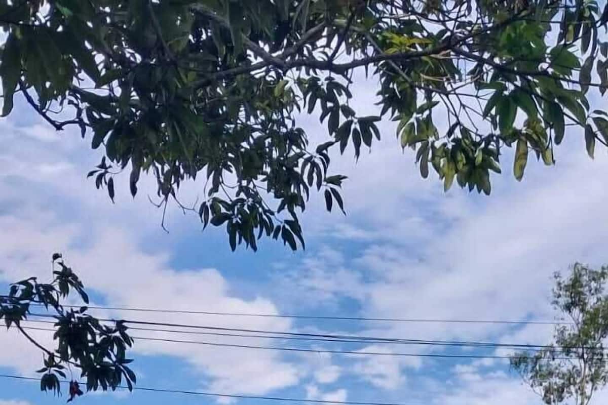 Uma pequena casa amarela com telhado vermelho, rodeada por vegetação e um céu claro.
