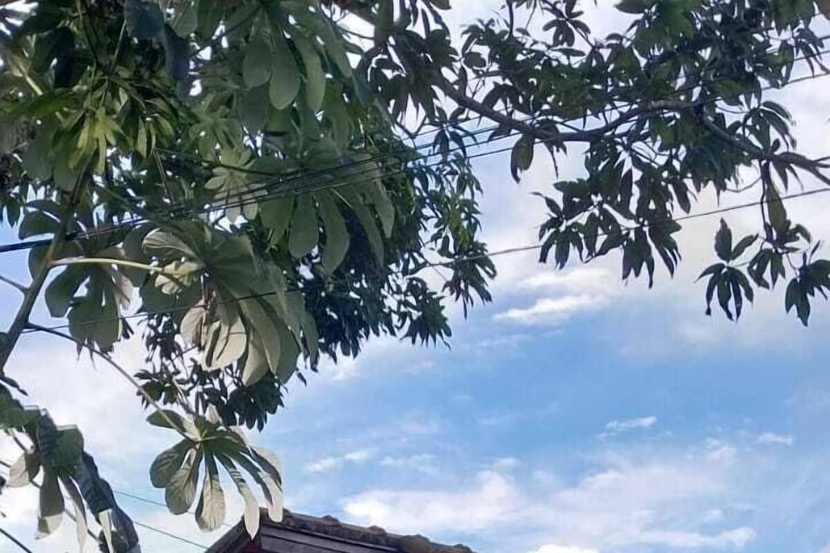 Uma casa térrea com telhado de telhas vermelhas, um pequeno alpendre e uma janela.