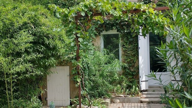 Um jardim com um caminho de madeira que leva a uma porta branca, cercado por diversas plantas e uma cerca de bambu.