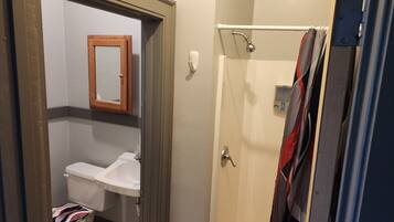 A bathroom with a toilet, sink, and shower.
