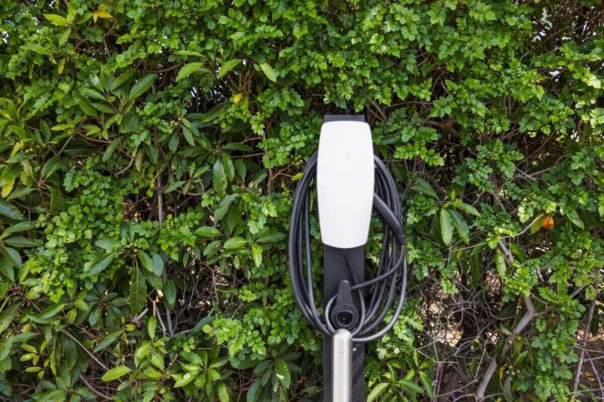 Eine weiße Ladestation für Elektroautos, verbunden mit einem Kabel, vor einem Hintergrund aus dichtem Grünwerk.