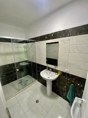 Regadera, secadora de cabello, bidet, toallas 