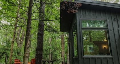 Modern, luxurious cabin in the woods - 20