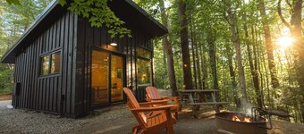 Modern, luxurious cabin in the woods - 19