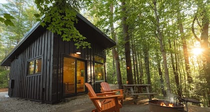 Modern, luxurious cabin in the woods - 19