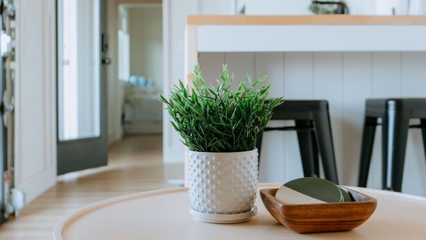 Une table ronde, agrémentée d’une plante en pot et d’un saladier en bois, se trouve dans une cuisine moderne au plafond en bois et aux murs blancs.