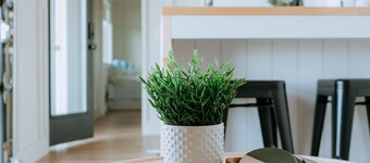 Shipping Container in Amish Country