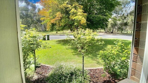 A view from a window overlooking a well-maintained lawn with a few trees and a road in the background. - Creek Front House (Valley View)
