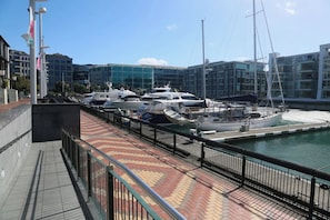 Een jachthaven met meerdere boten die afgemeerd liggen, een voetpad en moderne gebouwen op de achtergrond.
