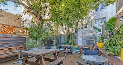 London Plane Backpackers - Hostel