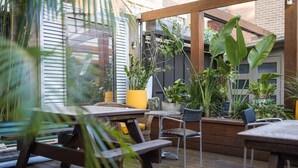 An outdoor patio with wooden flooring, metal chairs, and tables. There are potted plants and a wooden pergola structure. - London Plane Backpackers - Hostel (Potts Point)