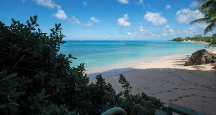 Secret Cove 2 | Beach Front - Located in Exquisite Saint James with Private Chef Services