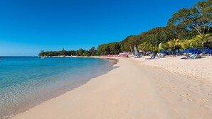 A beach with clear blue water, a sandy shore, and palm trees.