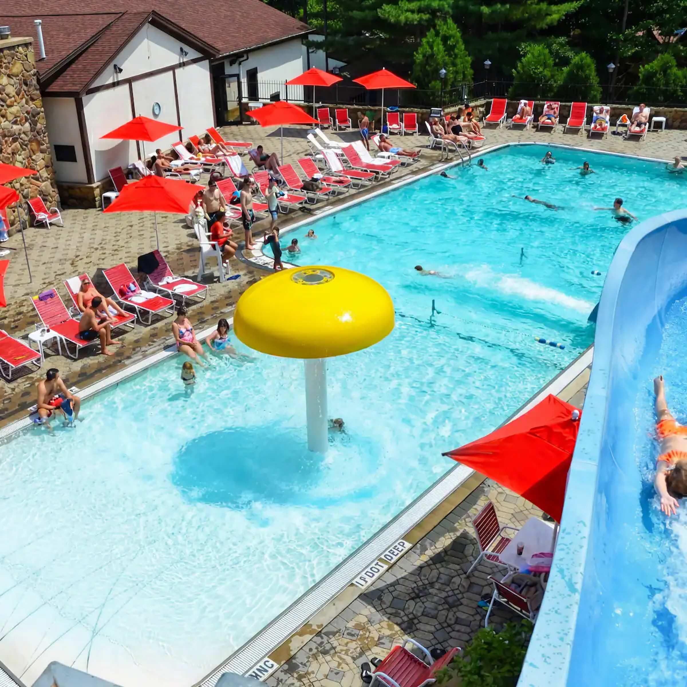 Piscine