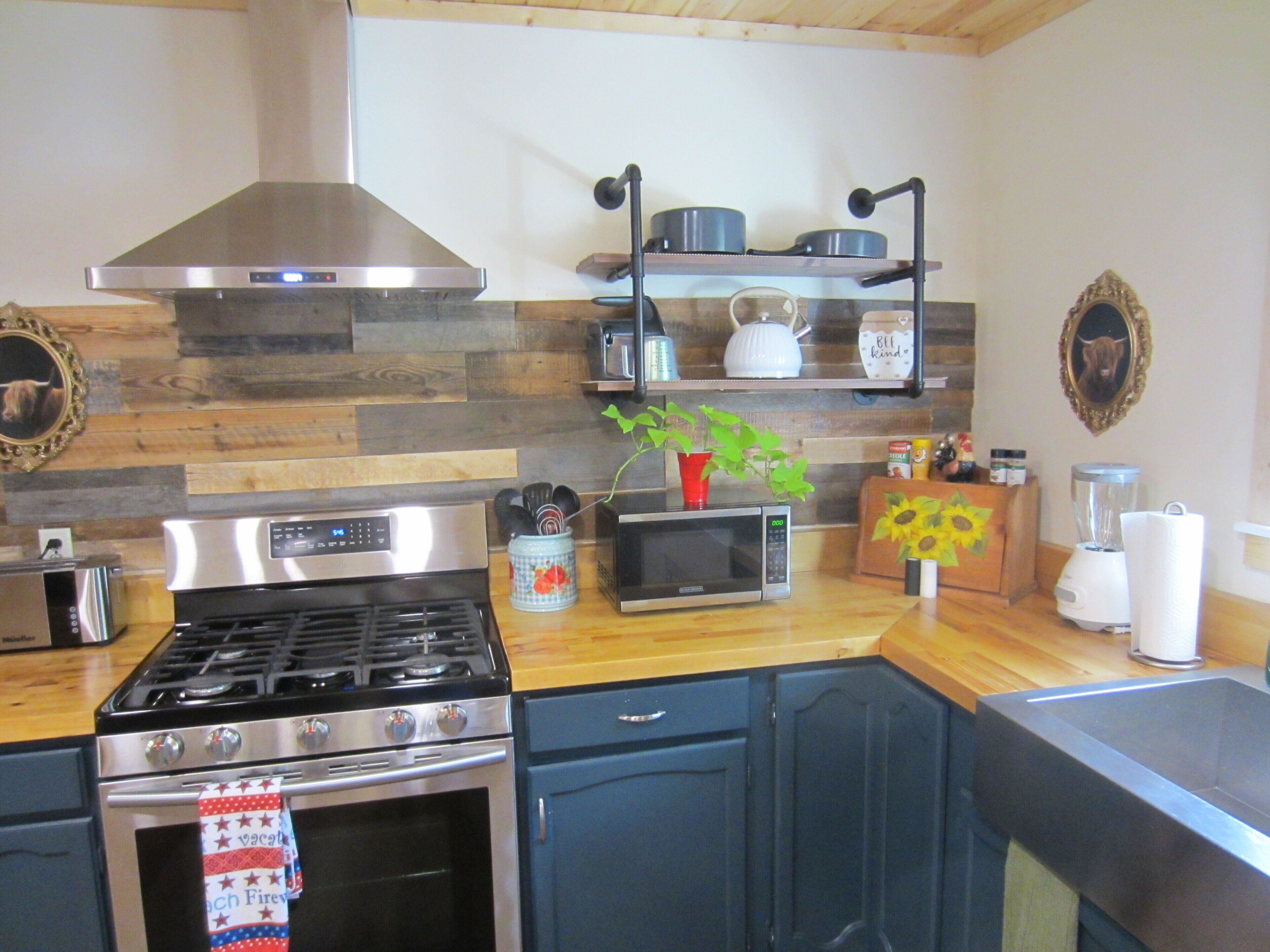 Laurelwood Retreat:   RENTS TO FOUR ONLY, Beautiful View of Cove Mountain.