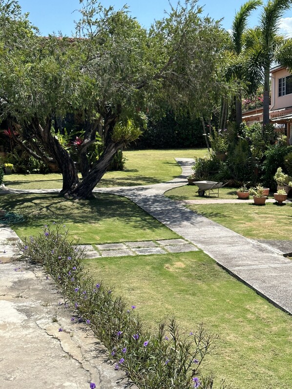 Un jardín bien cuidado con un sendero de piedra, abundante vegetación y una variedad de plantas.
