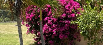 Sleeps2 - Private Pool - King Bed - AirCon