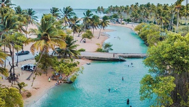 A tropical beach with clear turquoise water, palm trees, and a small dock.
