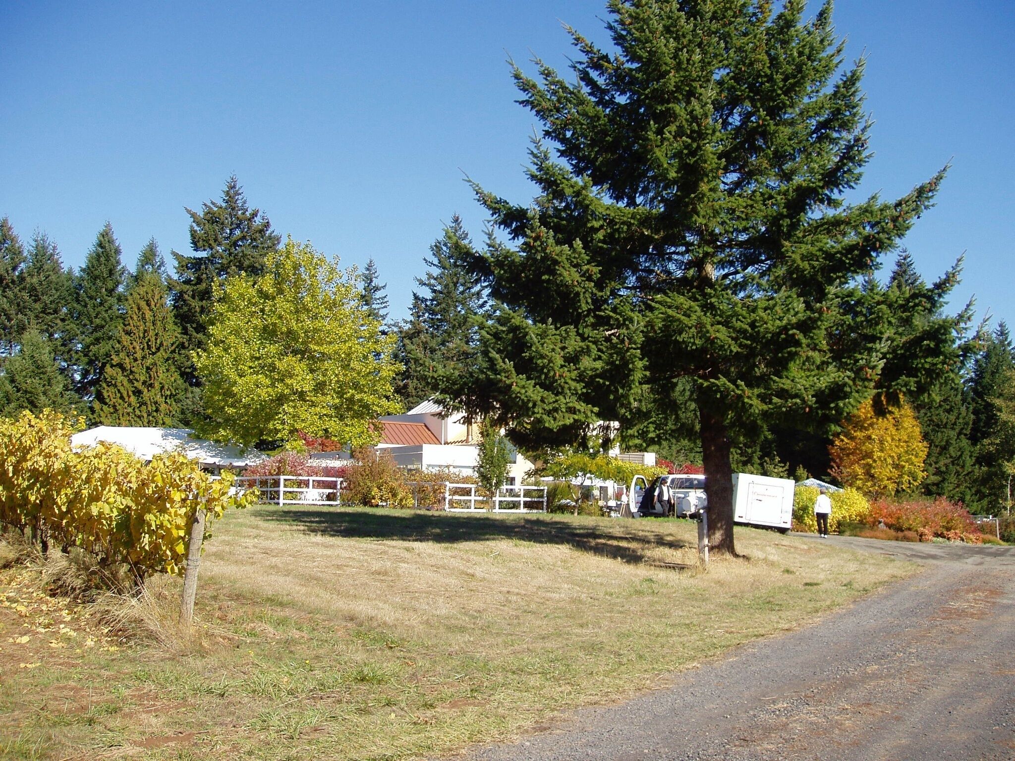 Willamette Valley Vineyard Home