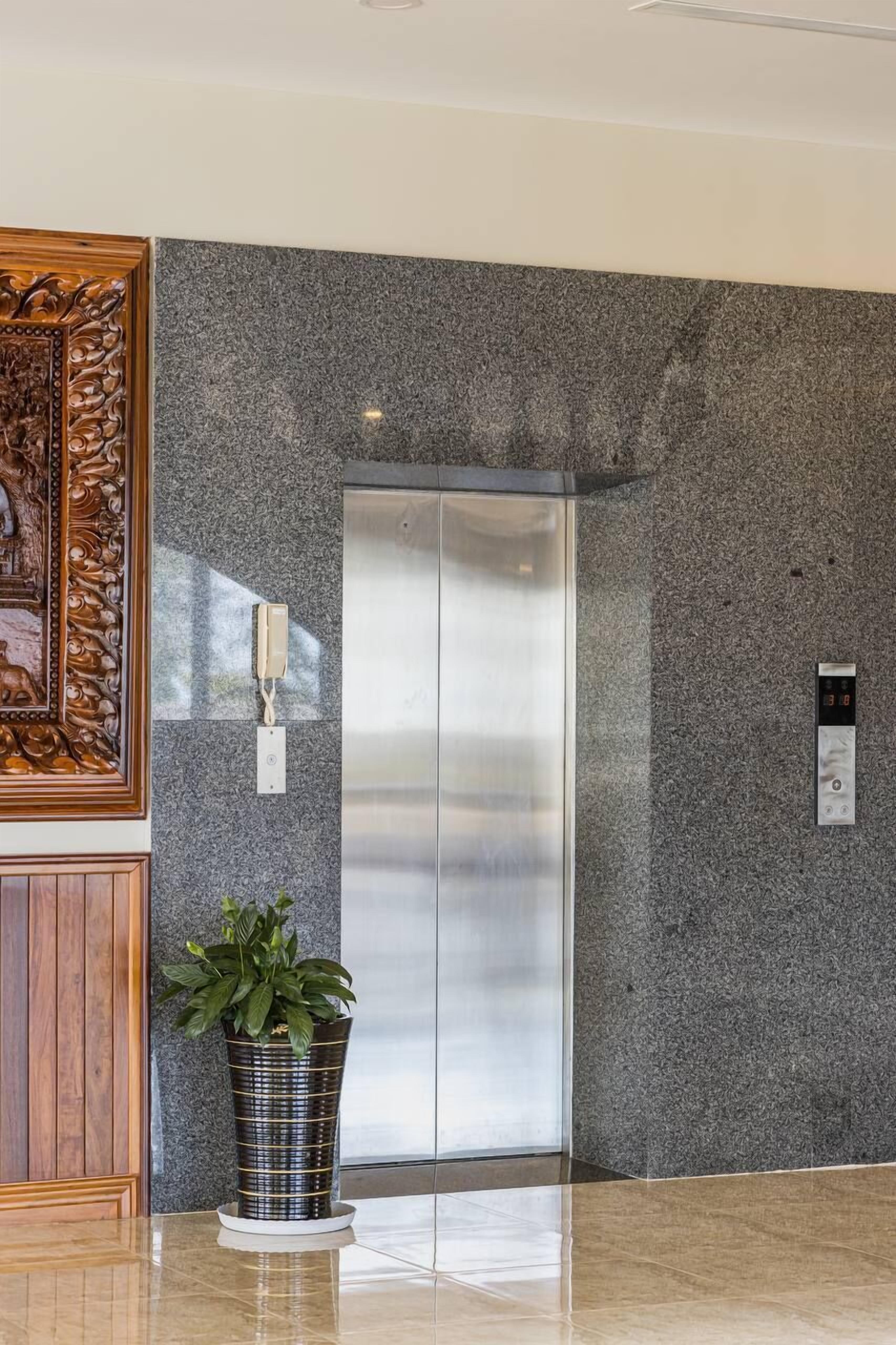 A modern elevator with a metallic finish, a potted plant, and a wooden panel with intricate carvings.