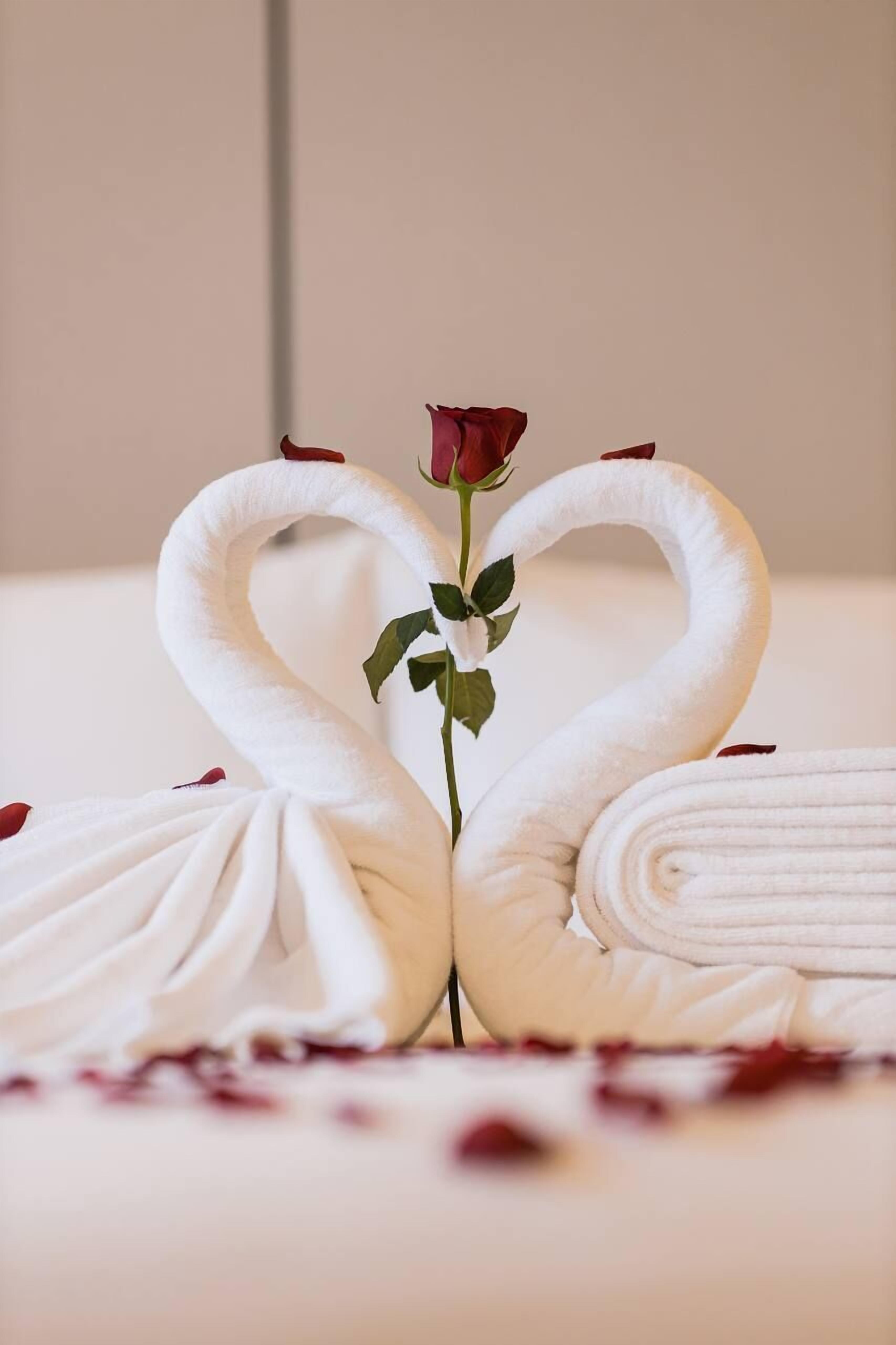 A bed with towels arranged in the shape of swans, a rose, and scattered rose petals.