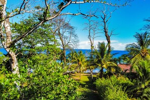 Stroll through the lush garden, surrounded by palm trees and a majestic tree with a twisted trunk, leading to a charming building with a red roof.