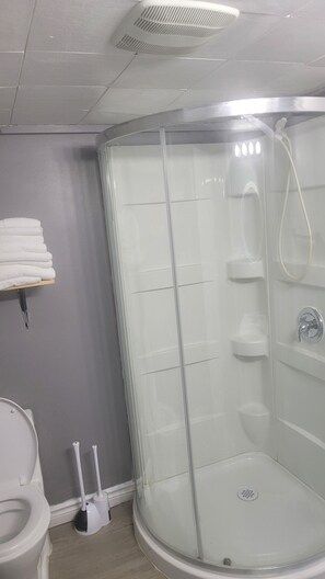 Regadera, toallas, jabón, shampoo